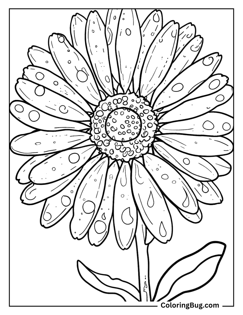 30 Sunflower Coloring Pages Free Printable PDFs 30 Sunflower Coloring Pages Free Printable PDFs