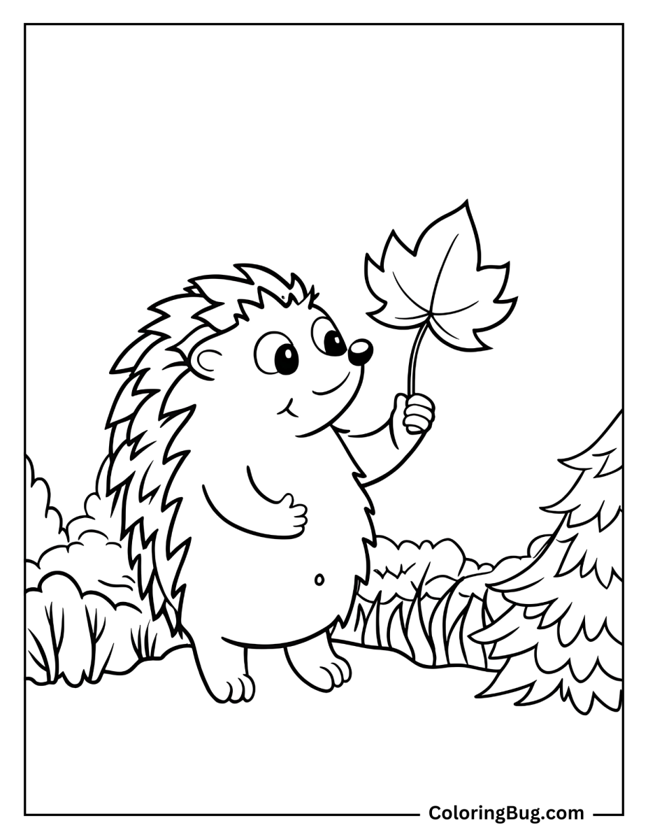 40 Hedgehog Coloring Pages Free Printable PDFs 40 Hedgehog Coloring Pages Free Printable PDFs