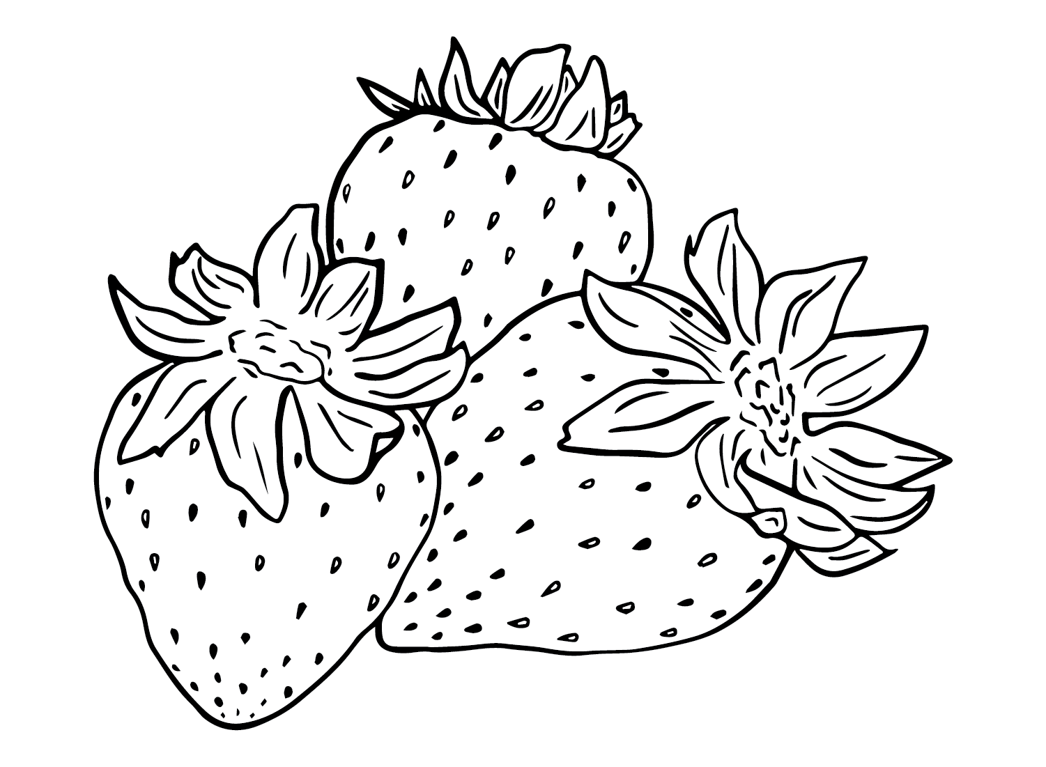 strawberry coloring pages strawberry coloring pages