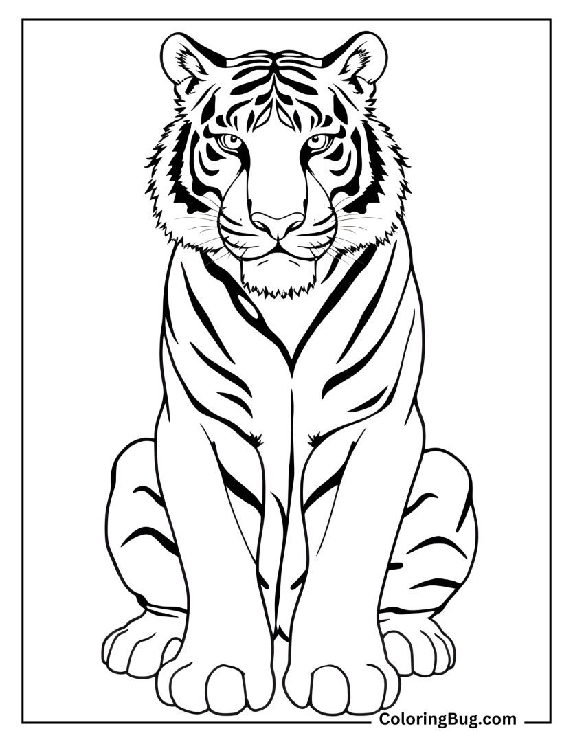 50 Tiger Coloring Pages Free Printable PDFs