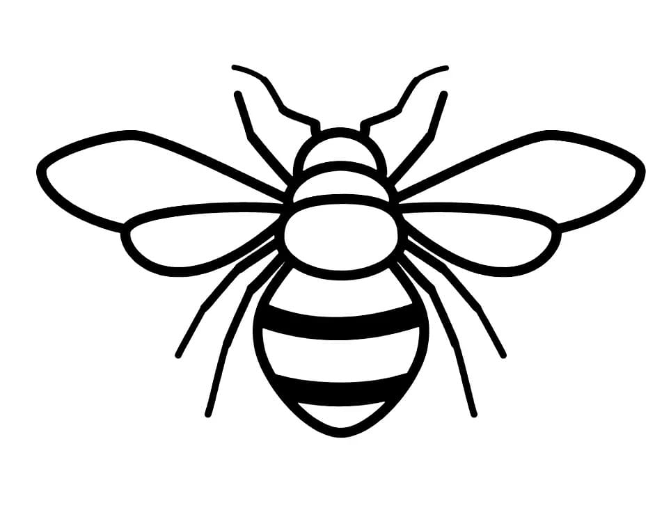 A Bee Coloring Page Download Print Or Color Online For Free A Bee Coloring Page Download Print Or Color Online For Free