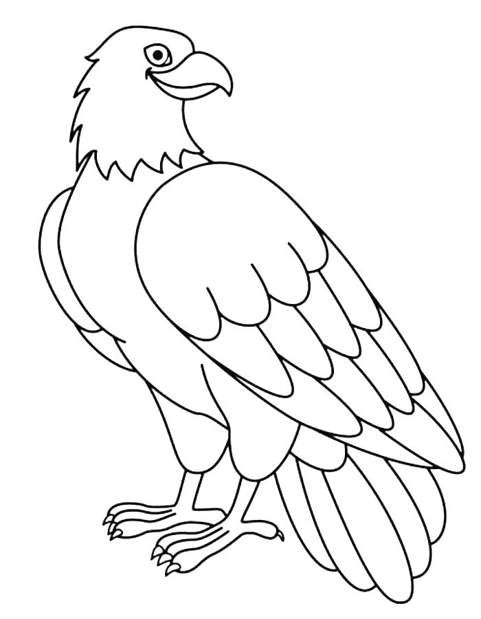 Bald Eagle Coloring Pages Free Printable PDF 