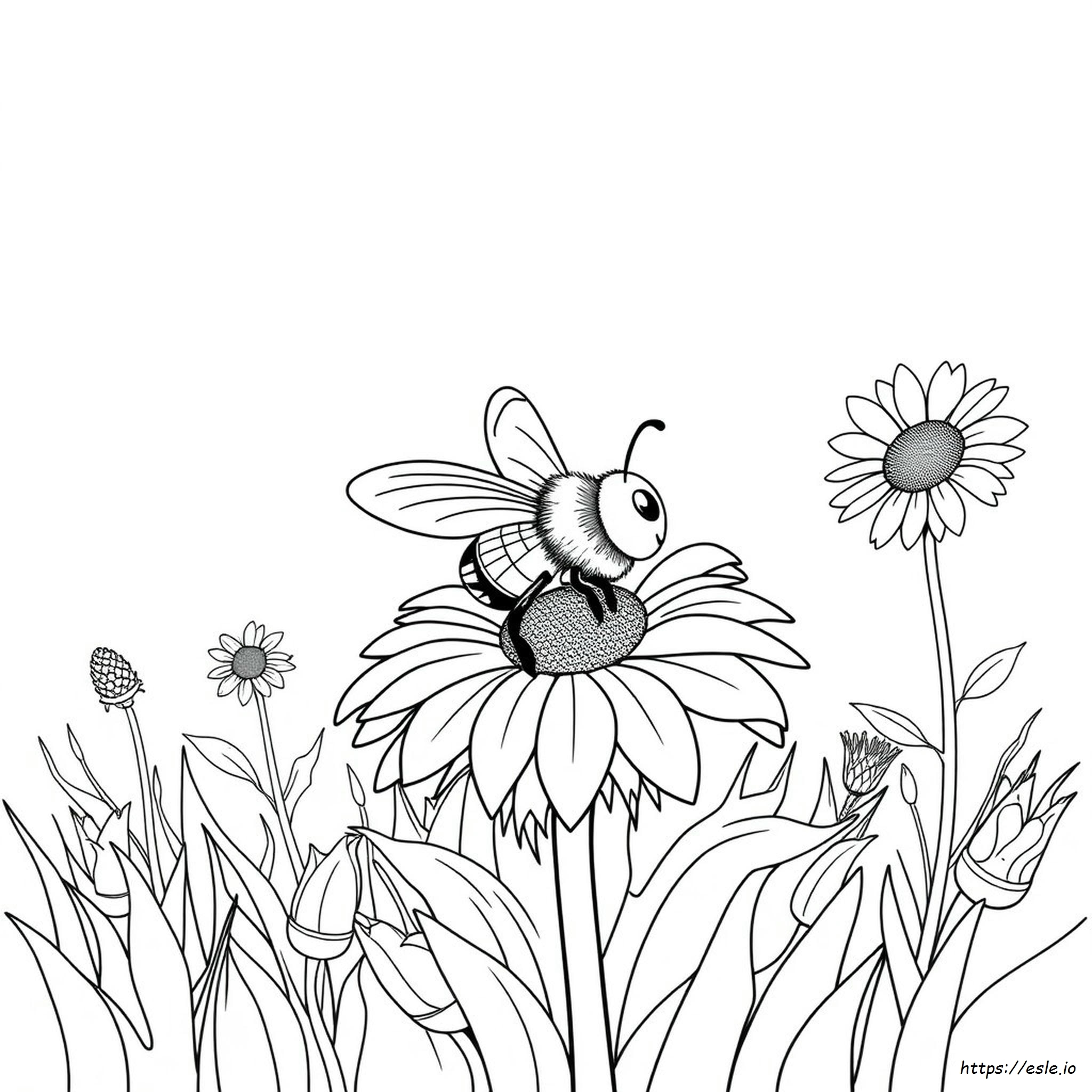 bold and easy coloring pages