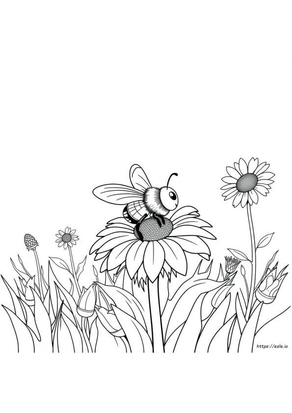 Big Bold Easy Coloring Pages