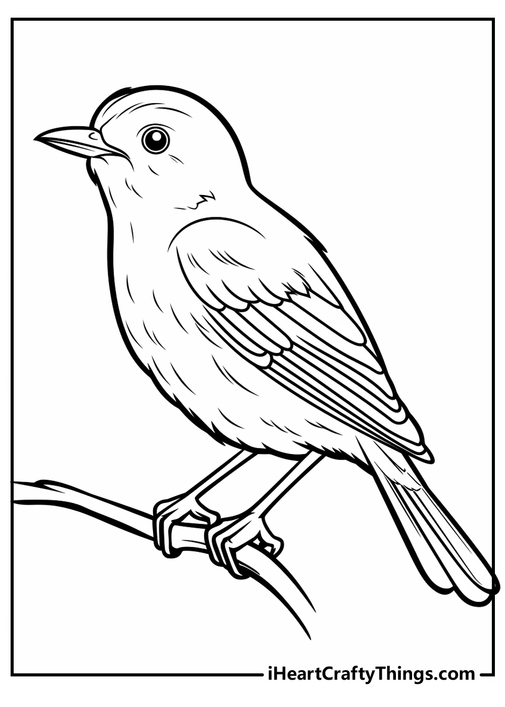 Bird Coloring Pages Free Coloring Pages To Print Bird Coloring Pages Free Coloring Pages To Print