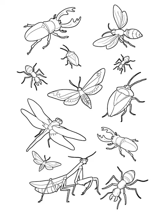 Bug Insect Coloring Pages Coloring Book 6000 Coloring Pages Bug Insect Coloring Pages Coloring Book 6000 Coloring Pages