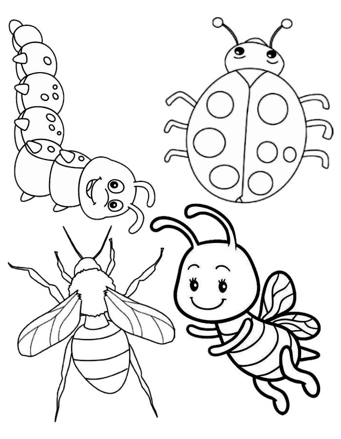 Bugs Coloring Pages Free Printable PDF