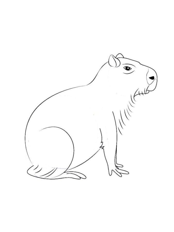 Capybara Coloring Pages ColoringLib Capybara Coloring Pages ColoringLib