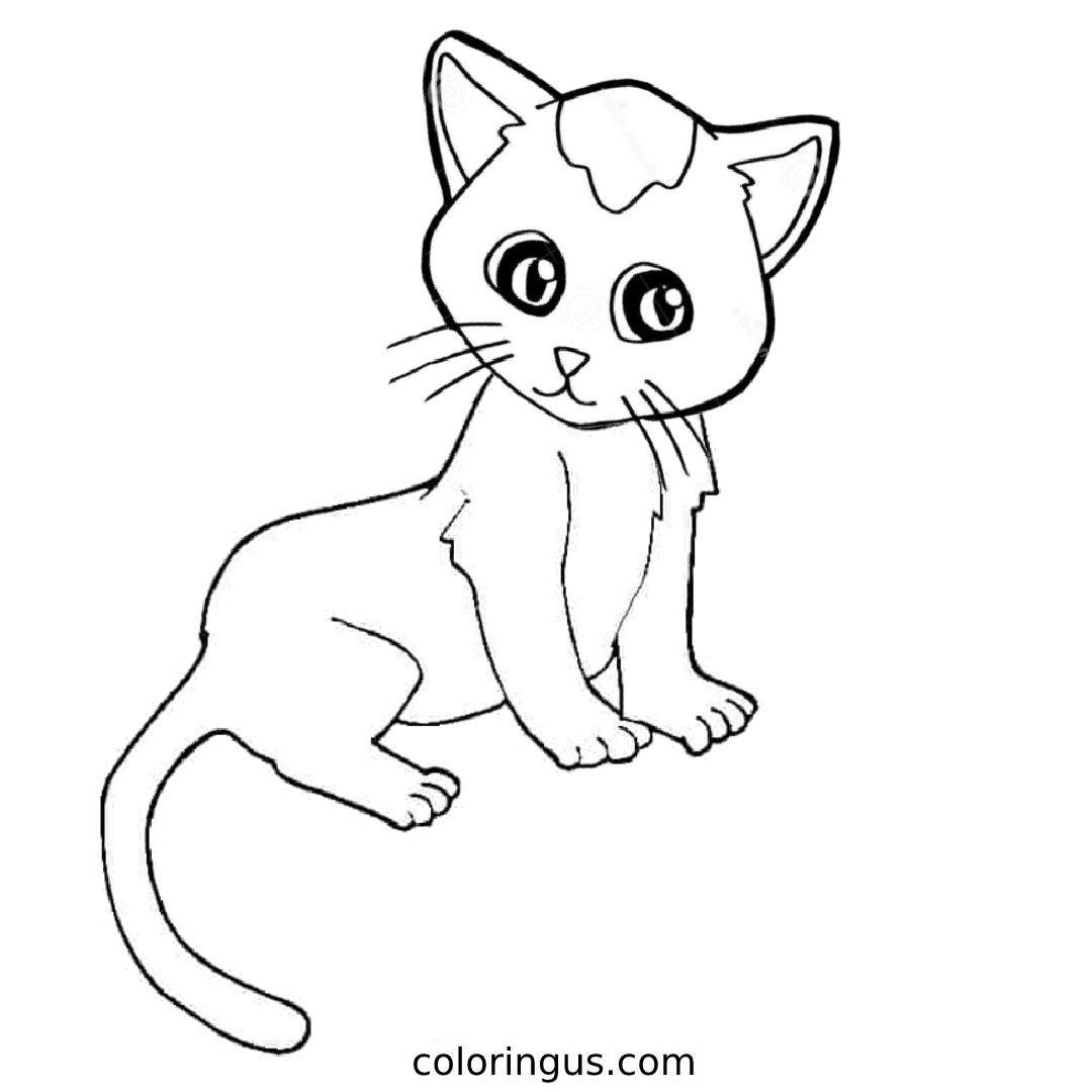 Cat Coloring Pages Free Printable PDF 
