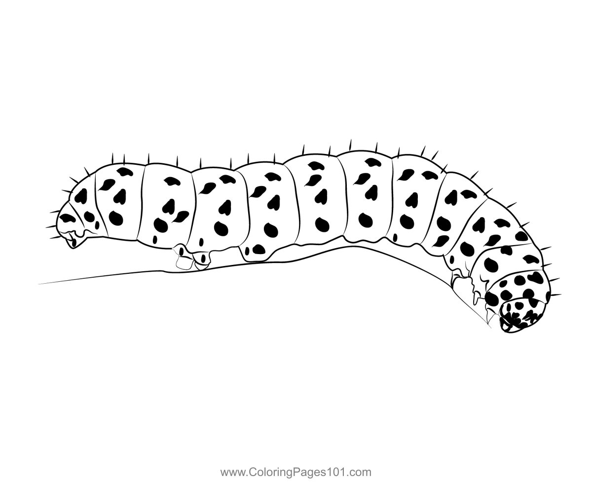 caterpillar coloring pages