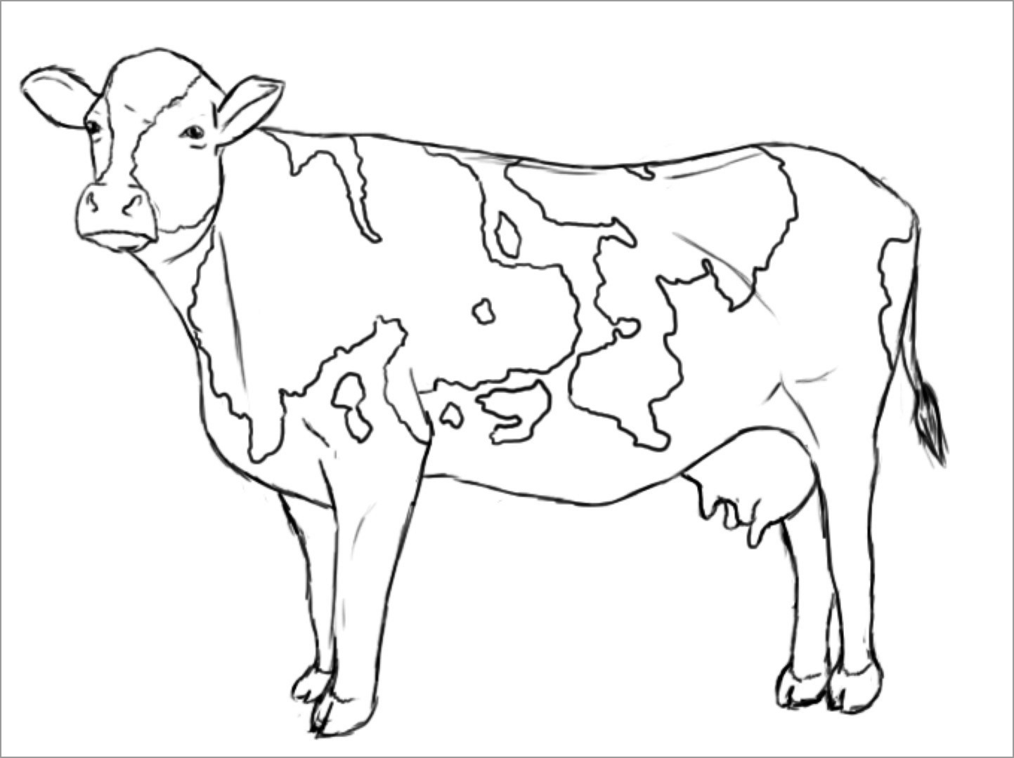 Cattle Coloring Pages ColoringBay Cattle Coloring Pages ColoringBay