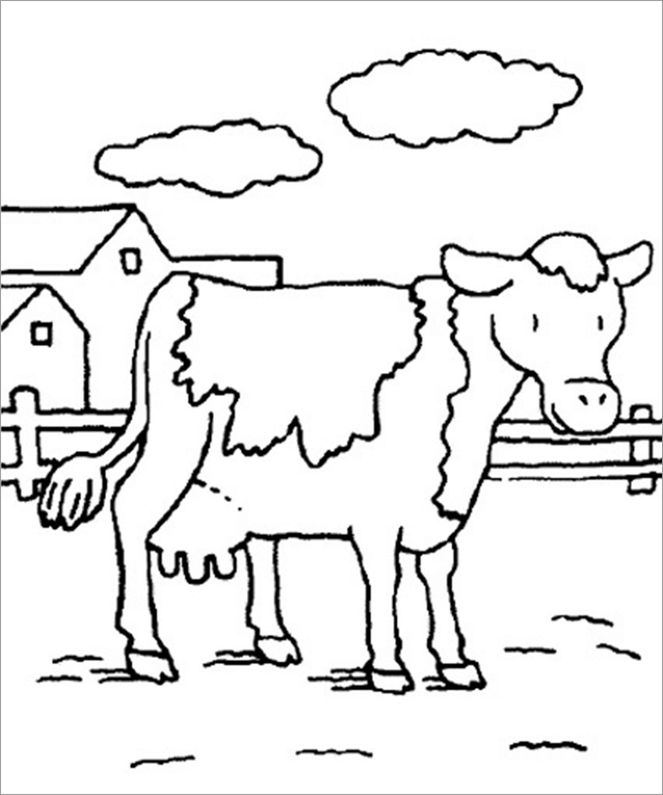 Cattle Coloring Pages ColoringBay Cattle Coloring Pages ColoringBay