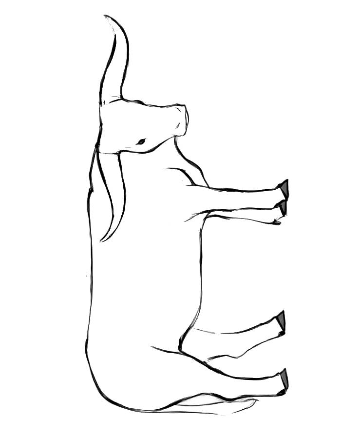 Cattle Coloring Pages Free Printable PDF 