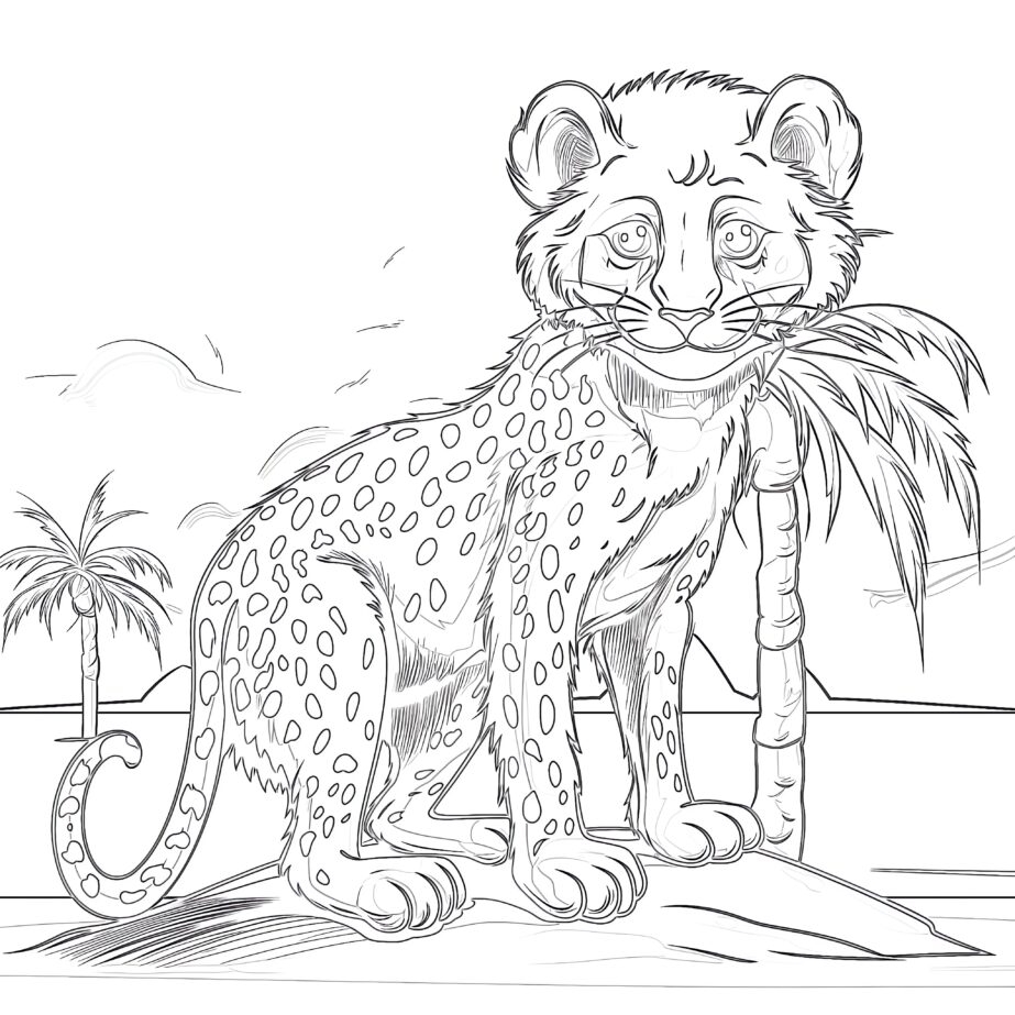 cheetah coloring page cheetah coloring page