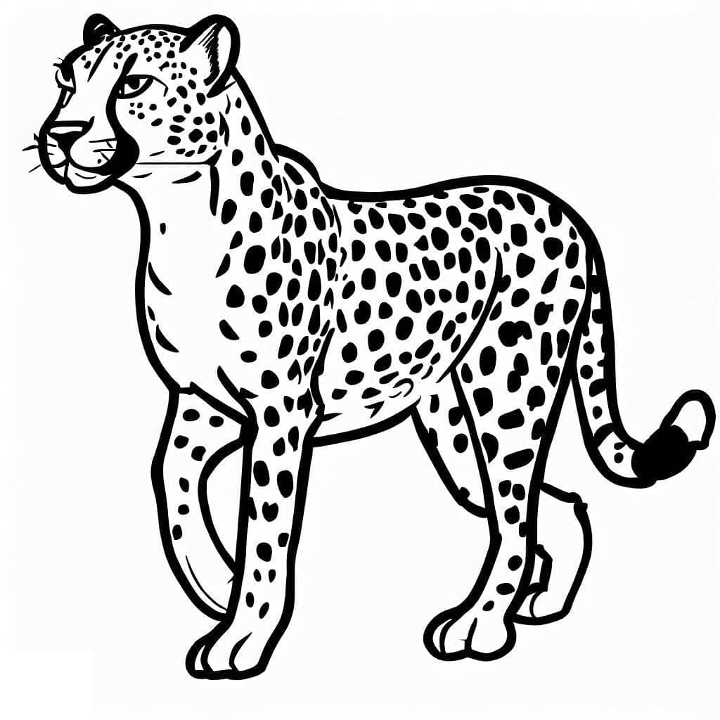 Cheetah Coloring Pages ColoringLib Cheetah Coloring Pages ColoringLib