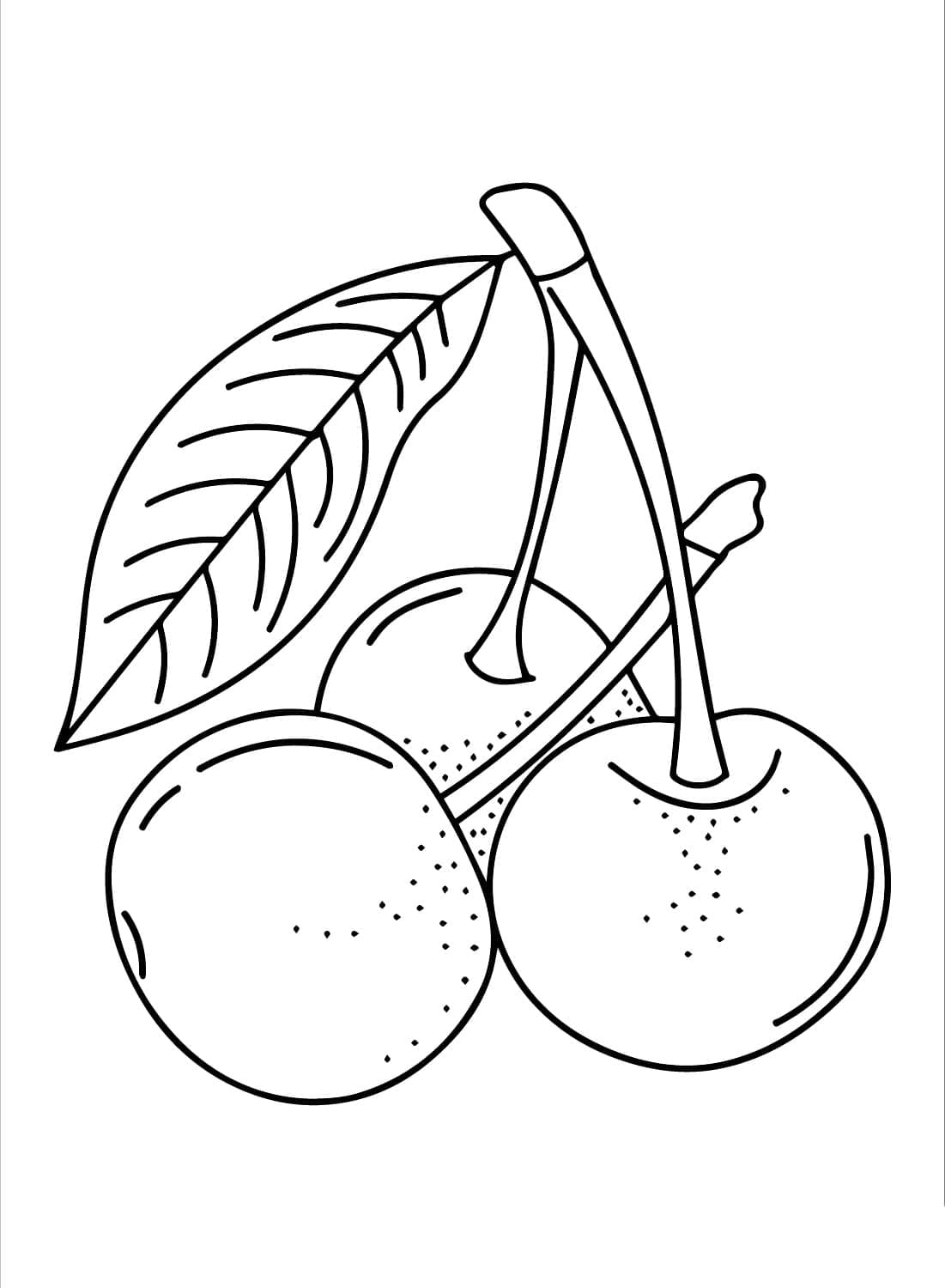 Cherry Fruit Coloring Page Download Print Or Color Online For Free Cherry Fruit Coloring Page Download Print Or Color Online For Free