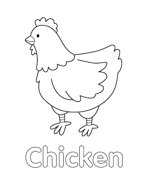Chicken Coloring Page Little Bee Family Chicken Coloring Page Little Bee Family