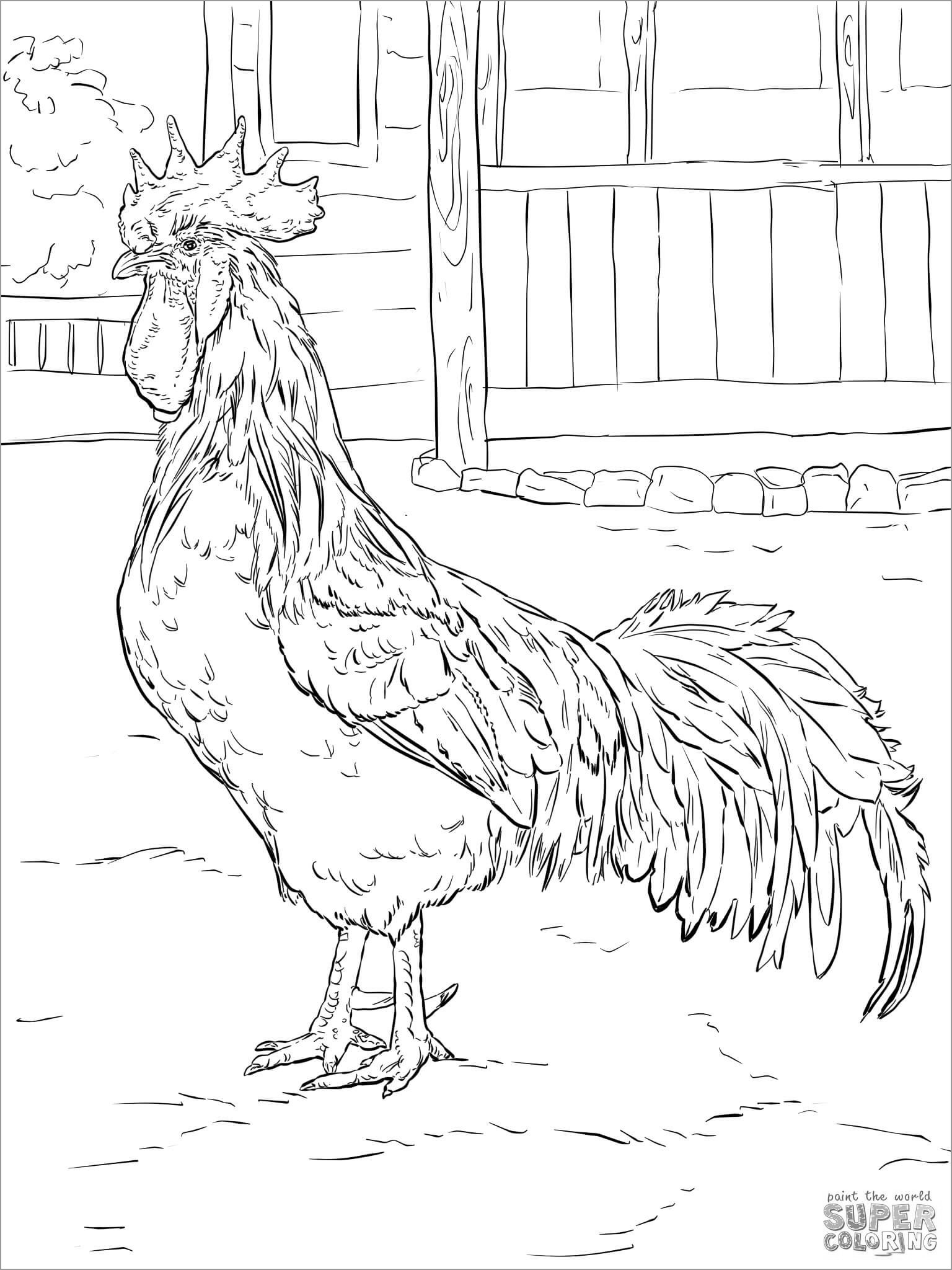 Chicken Coloring Pages ColoringBay Chicken Coloring Pages ColoringBay