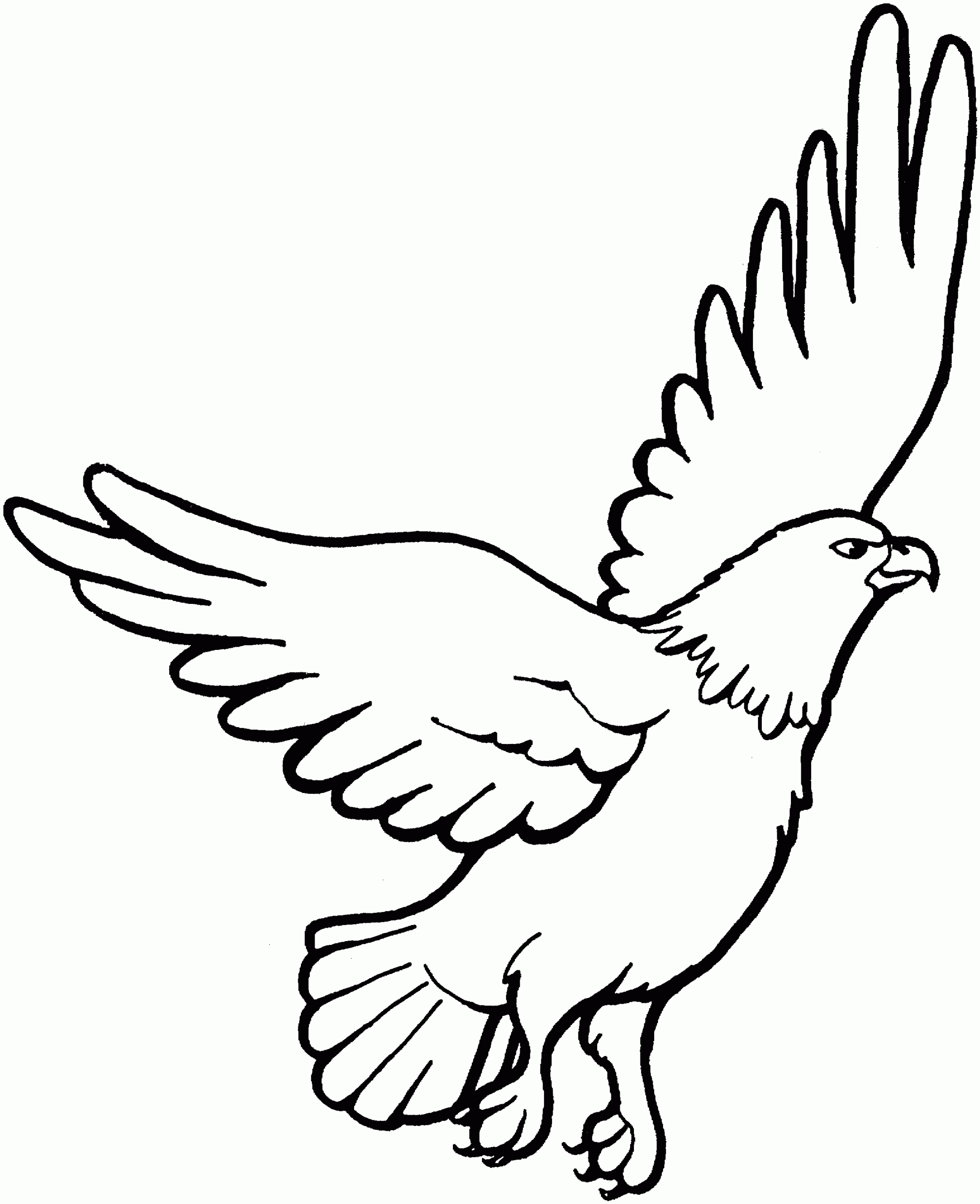 eagle coloring pages