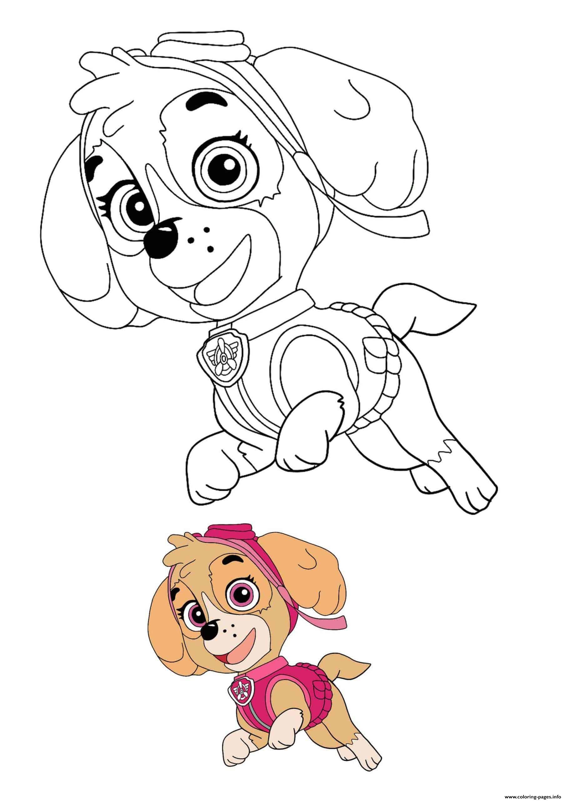 Collection Of Skye Paw Patrol Coloring Pages Free Printable Collection Of Skye Paw Patrol Coloring Pages Free Printable