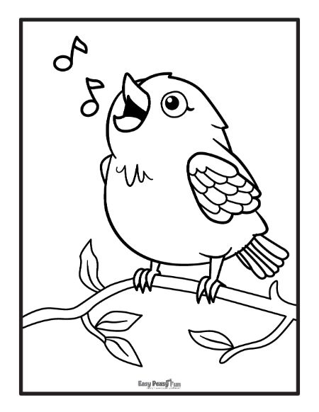 Coloring Pages Birds Printable 2025 