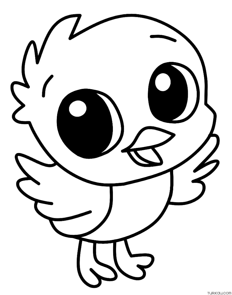 Coloring Pages Birds Printable