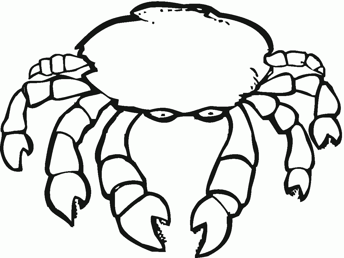 Crab Color Crab Color