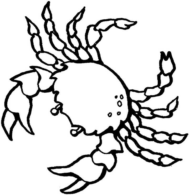 Crab Color Crab Color