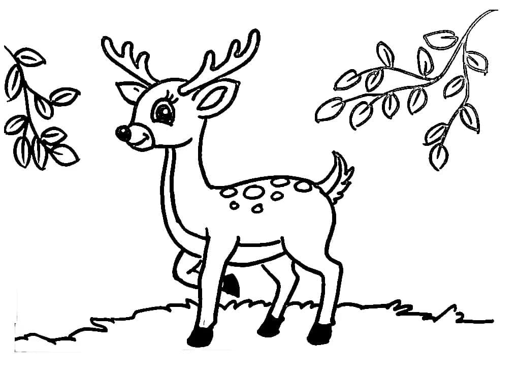 Cute Deer Coloring Page Download Print Or Color Online For Free Cute Deer Coloring Page Download Print Or Color Online For Free