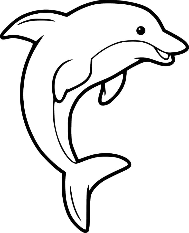 dolphin coloring page dolphin coloring page