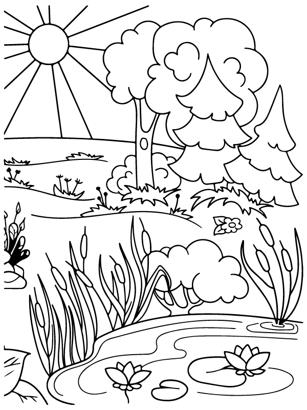Deciduous Forest Coloring Pages Forest Coloring Pages Insect Coloring 