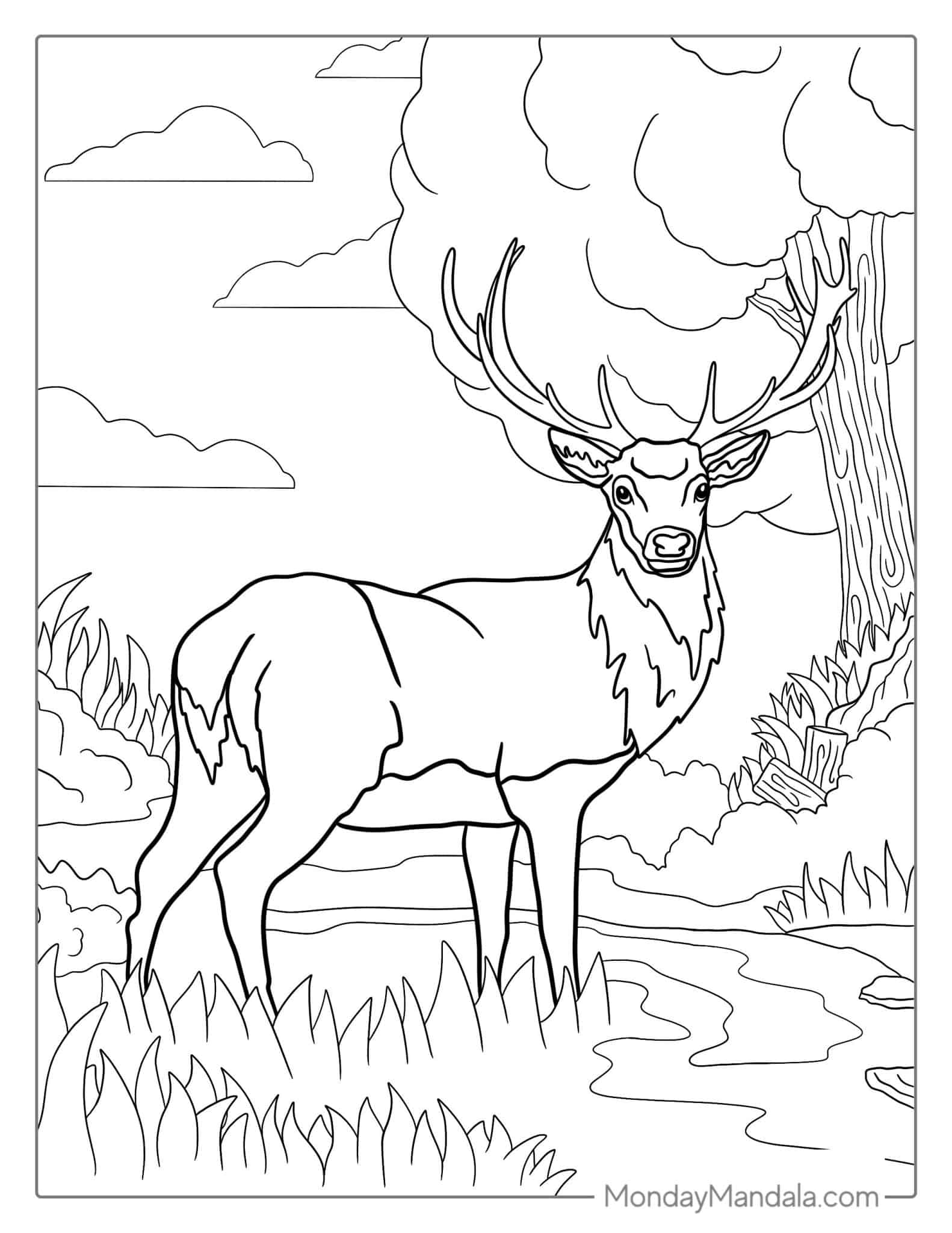 Deer Color Pages Deer Color Pages