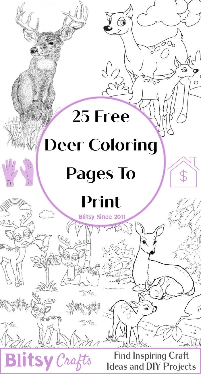 Deer Color Pages Deer Color Pages