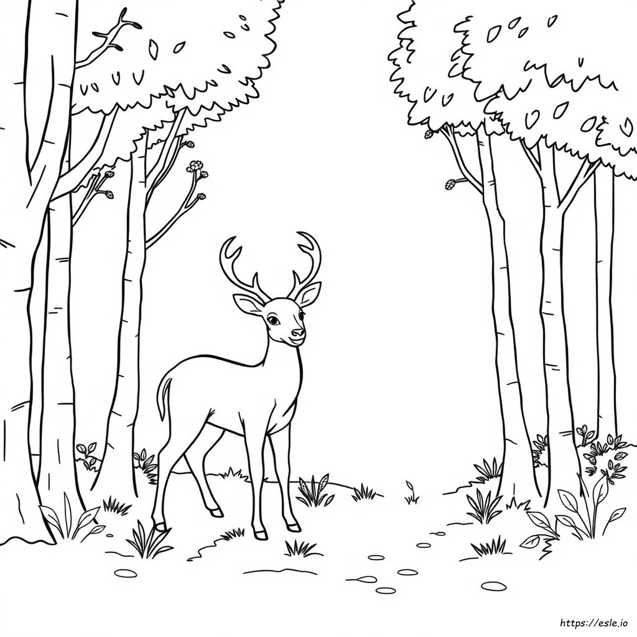 Deer Coloring Book Pages Deer Coloring Book Pages