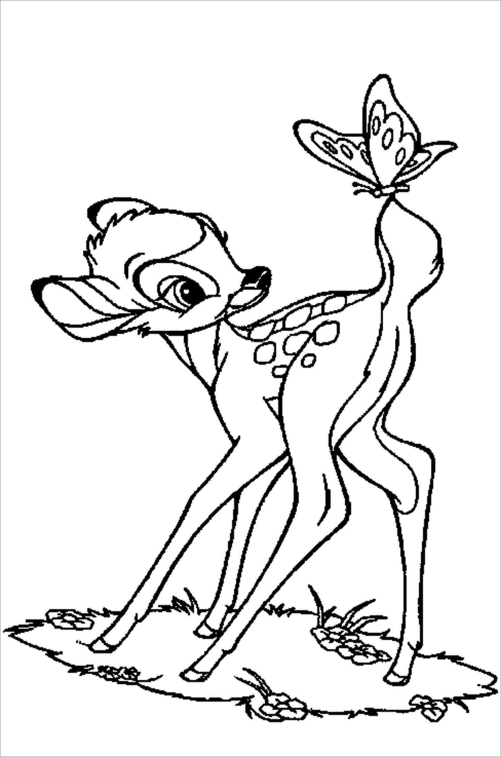 Deer Coloring Pages ColoringBay