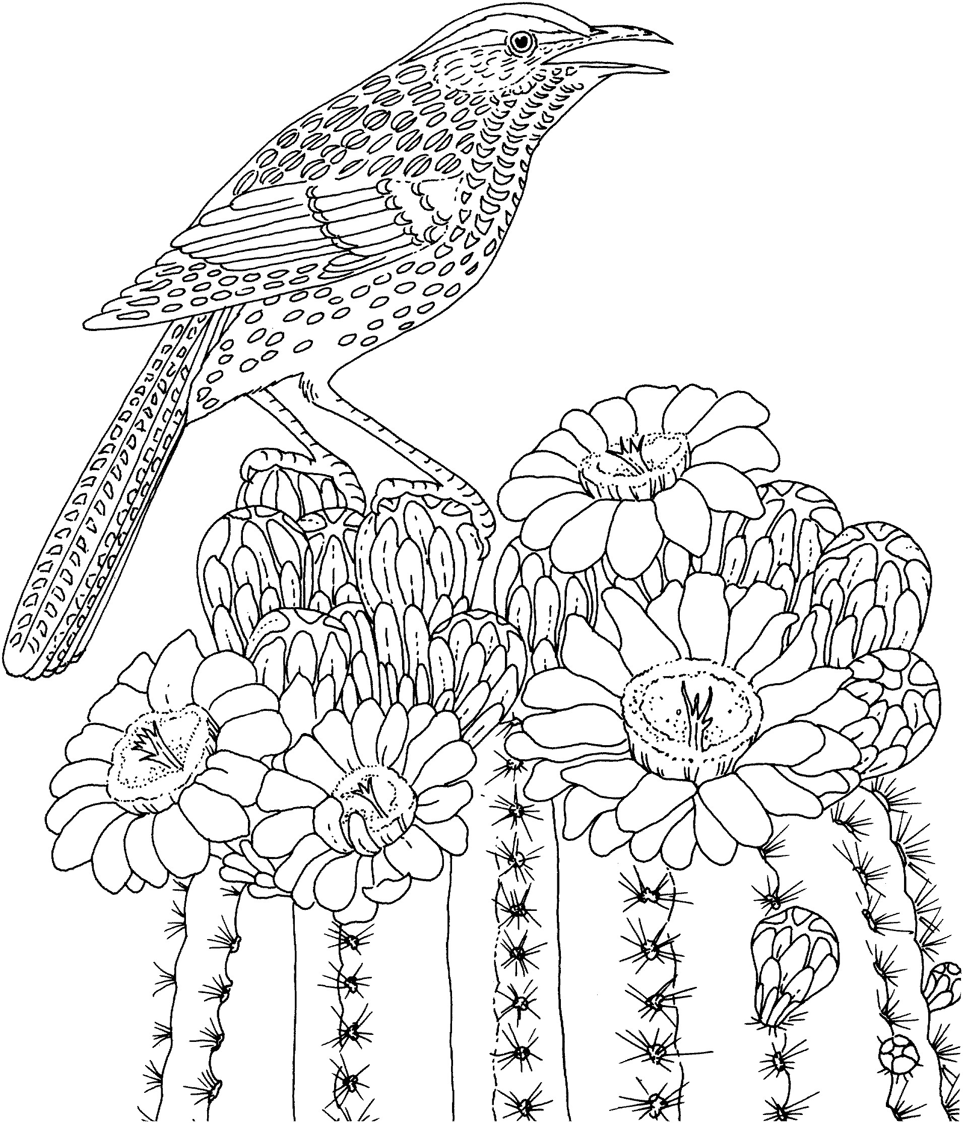 Difficult Coloring Pages At GetColorings Free Printable Colorings 