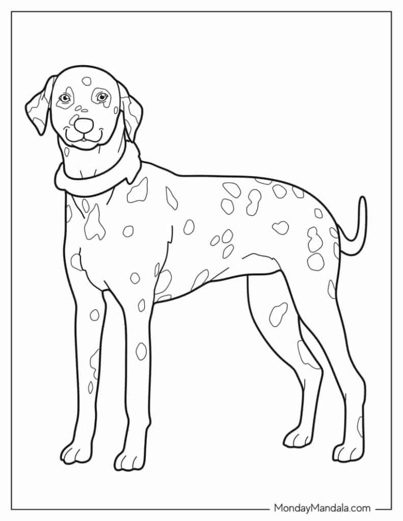 Dog Breed Coloring Pages Printable Infoupdate Dog Breed Coloring Pages Printable Infoupdate
