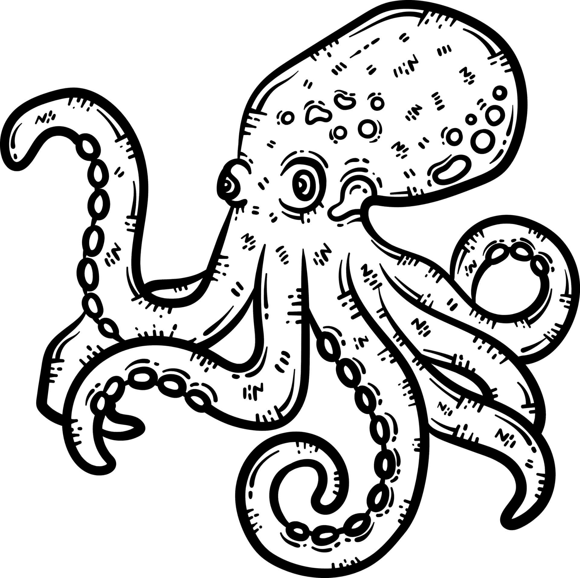 octopus coloring page octopus coloring page