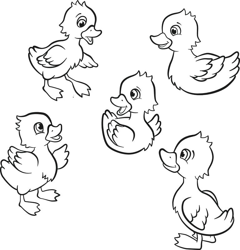 Duck And Duckling Coloring Pages Free Printable Templates