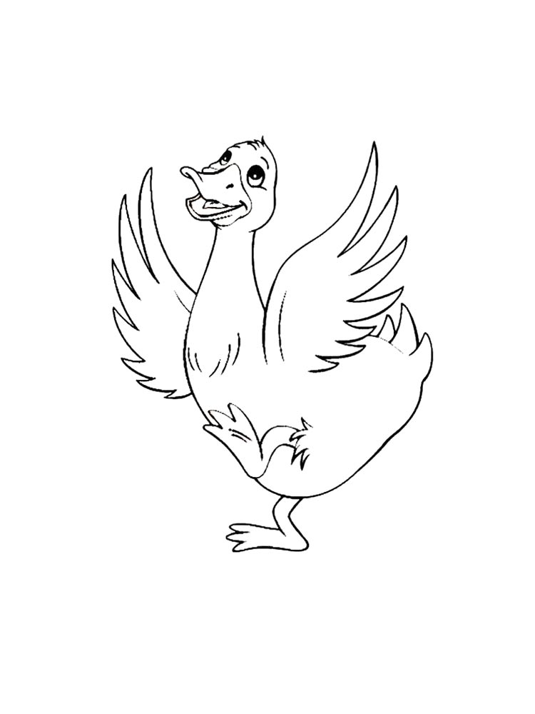 Duck Coloring Page