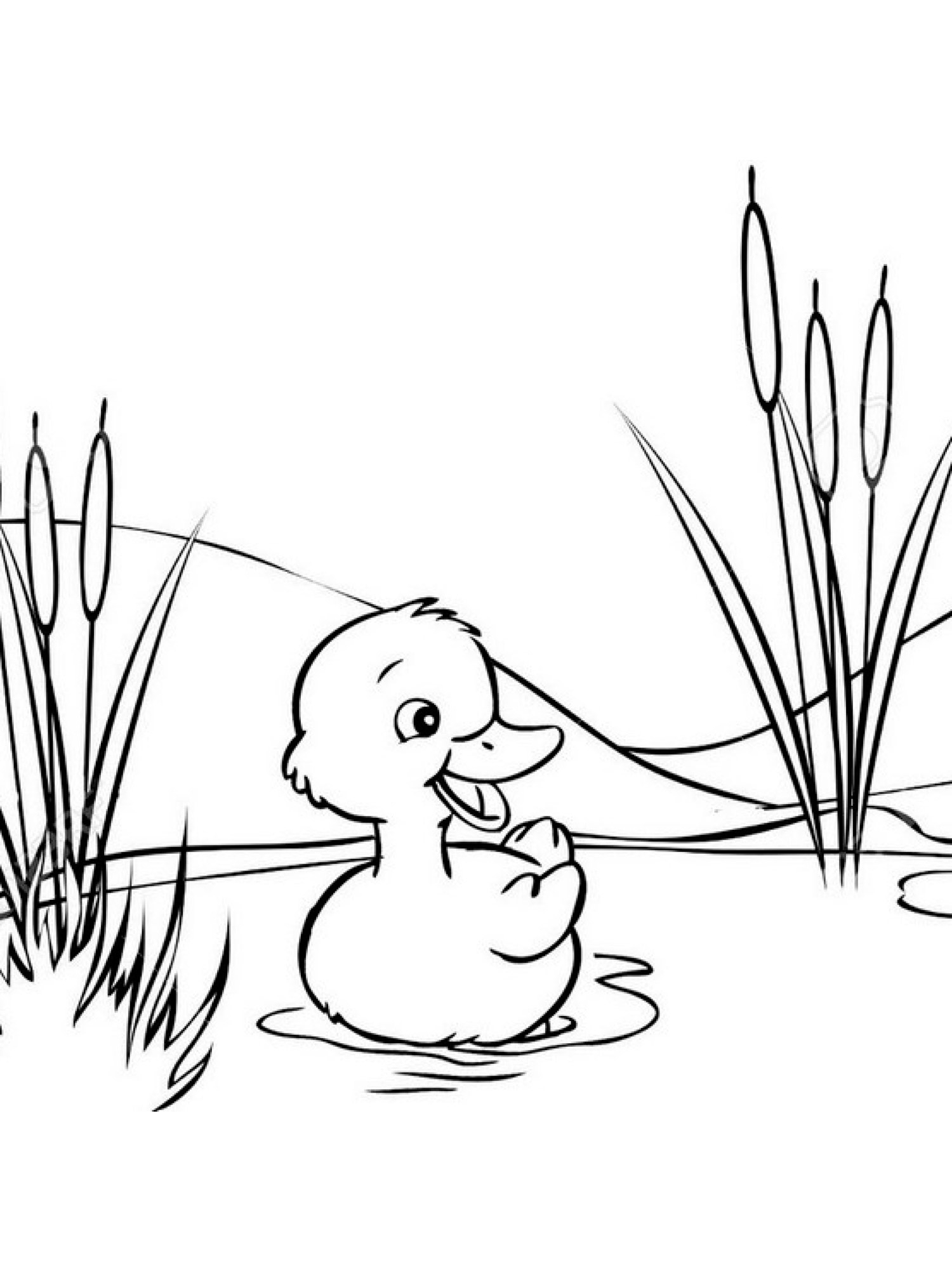 Duckling Coloring Page