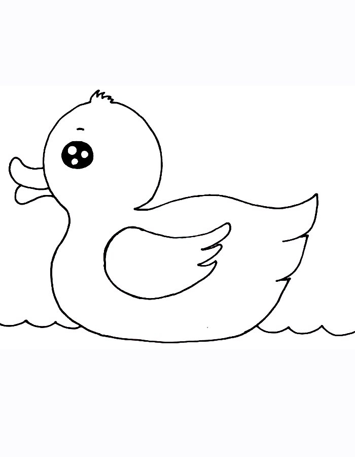 Duckling Coloring Pages Free Printable PDF 