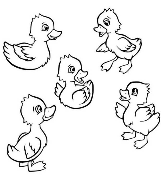 Duckling Coloring Pages Free Printable PDF 