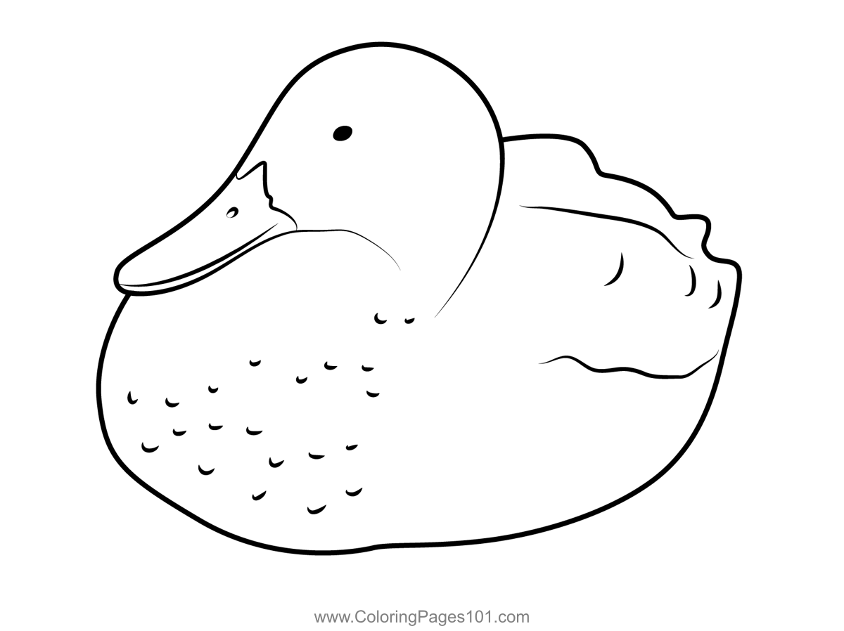Ducks On The Riverside Coloring Page For Kids Free Ducks Printable 