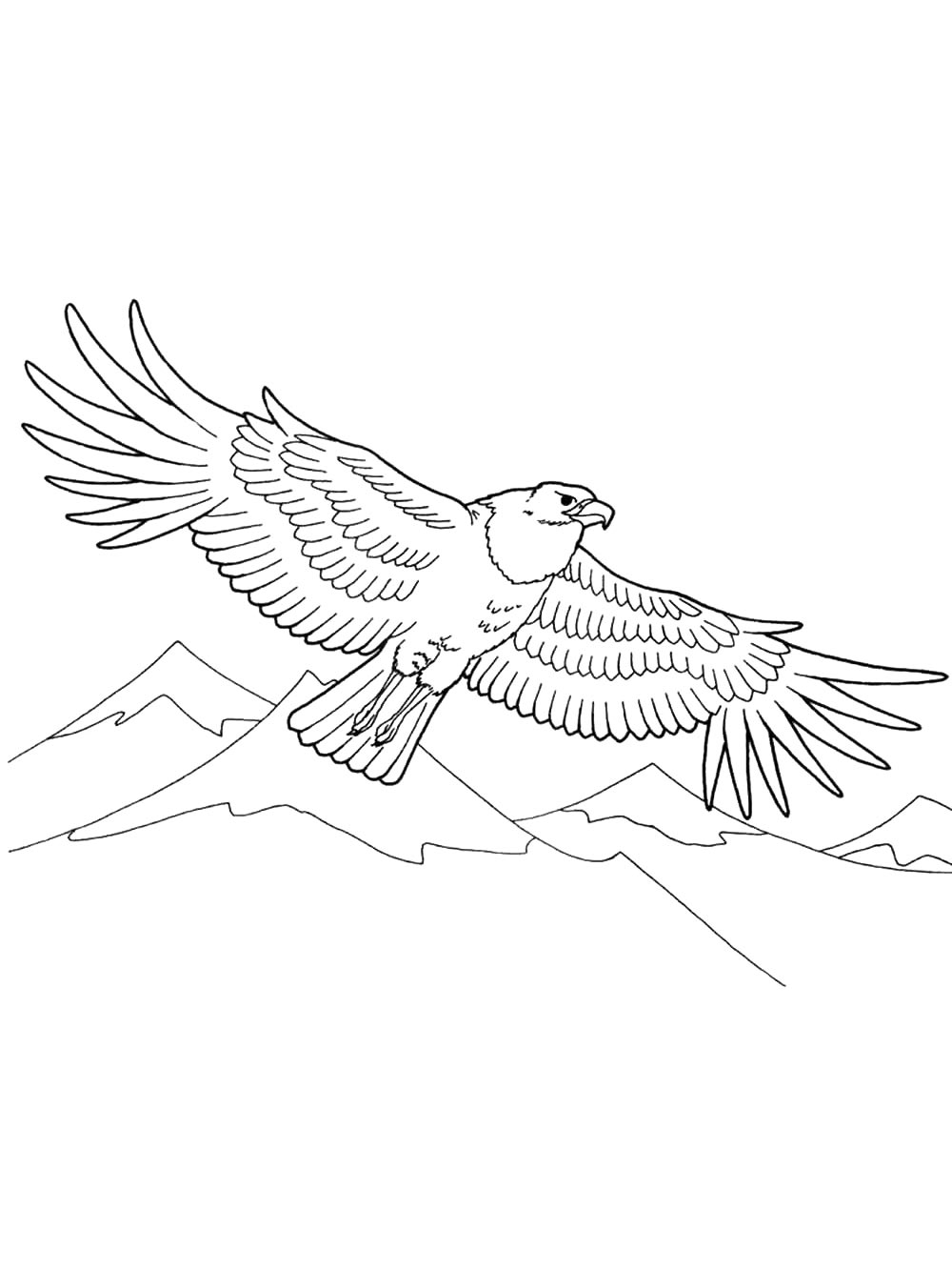 eagle coloring page