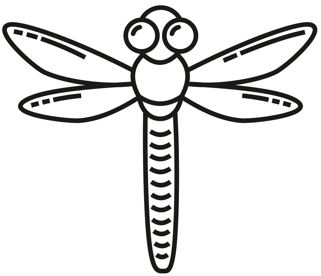 Easy Dragonfly Coloring Page Download Print Or Color Online For Free Easy Dragonfly Coloring Page Download Print Or Color Online For Free