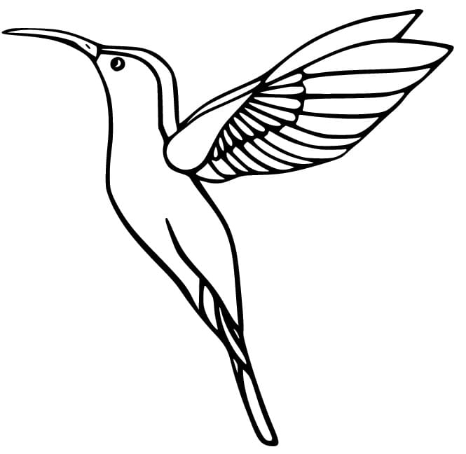 Easy Hummingbird Coloring Page Download Print Or Color Online For Free