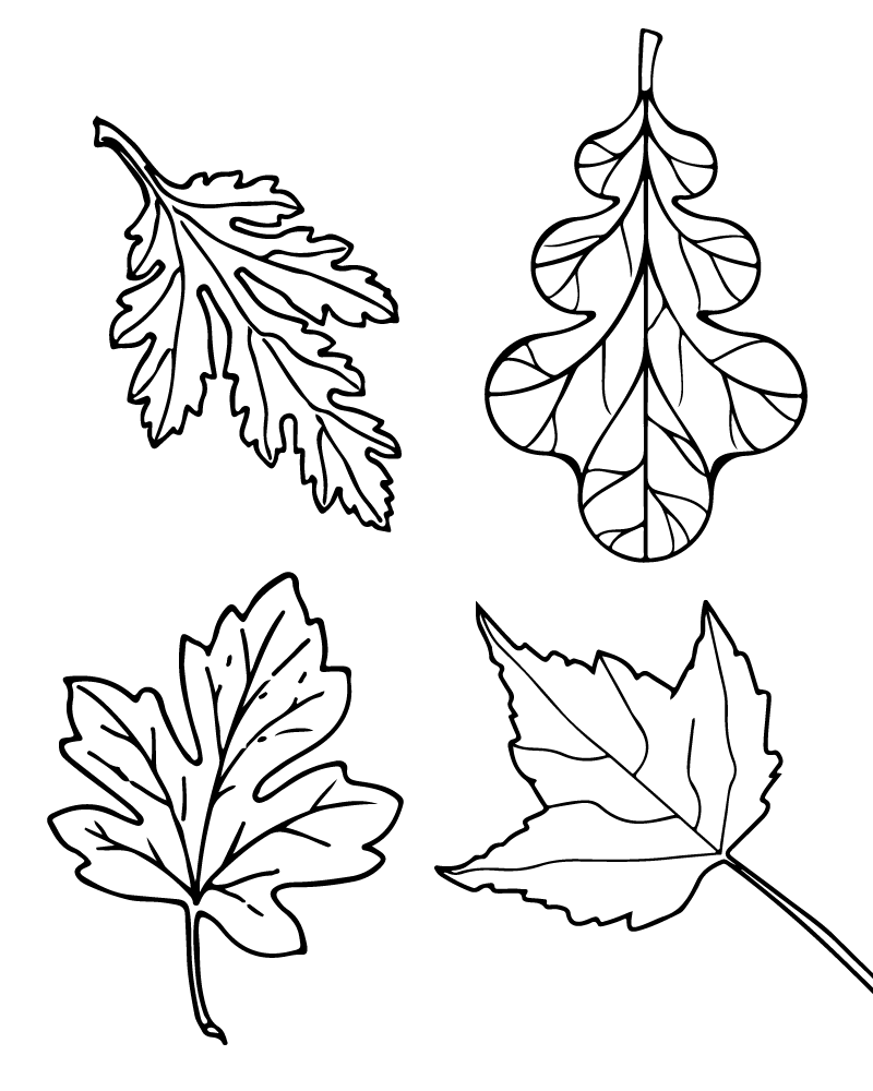 Fall Leaves Coloring Page Fall Leaves Coloring Page