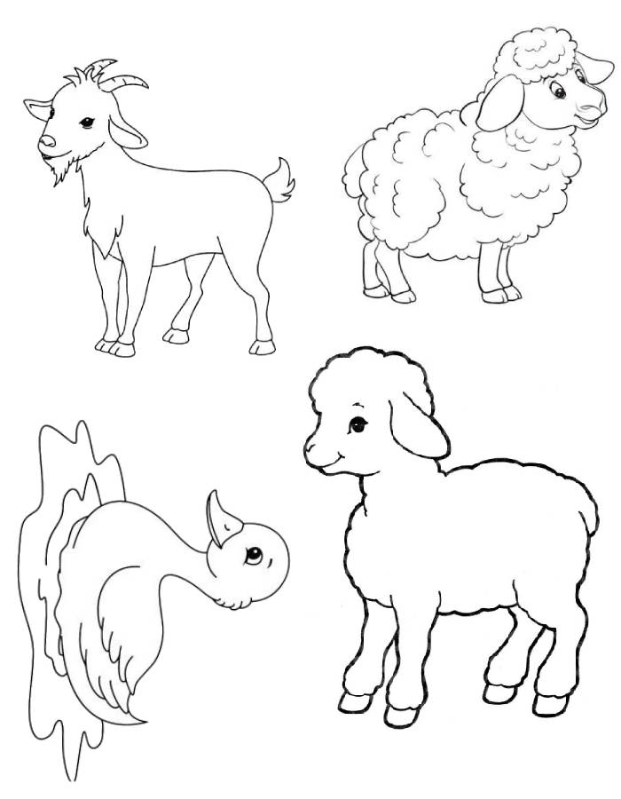 Farm Animals Coloring Pages Free Printable PDF 
