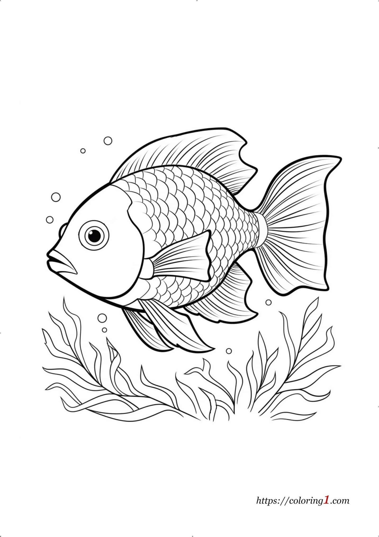 Fish Coloring Pages 39 Free Printable Coloring Sheets